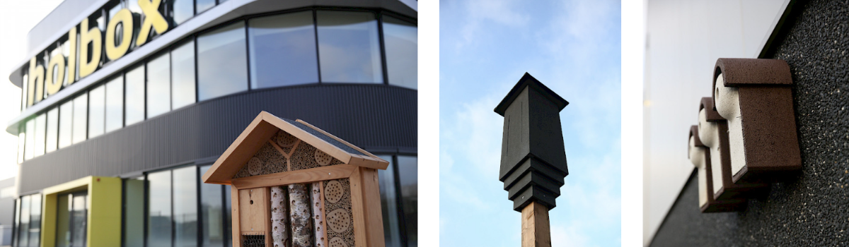 Bouwen voor de toekomst Bouwen voor de toekomst