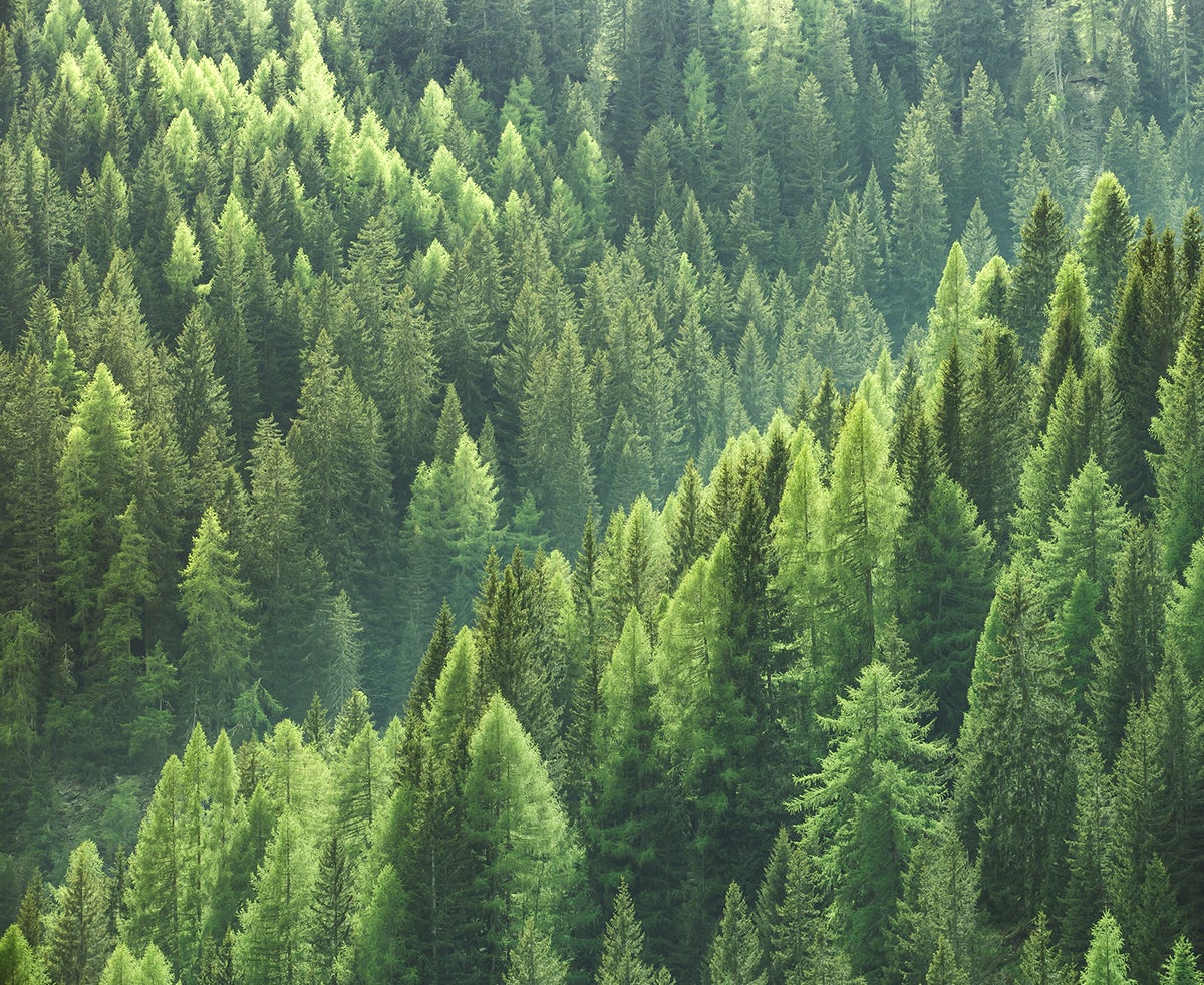 Sustainability Report - Holbox Sustainability Report - Holbox