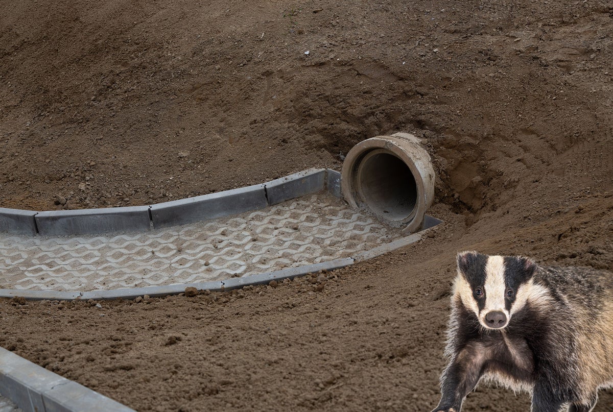 Dassenholstraat Dassenholstraat