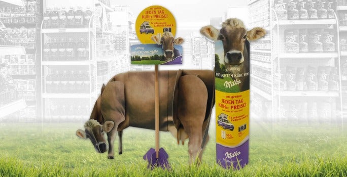 Drie Superstar Awards voor Holbox Drie Superstar Awards voor Holbox